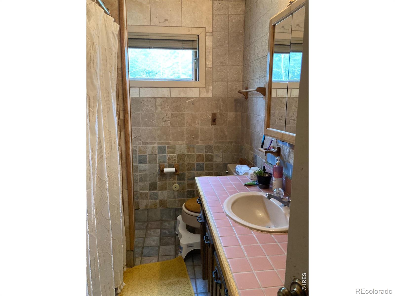 MLS Image #7 for 1064  cold springs road,nederland, Colorado