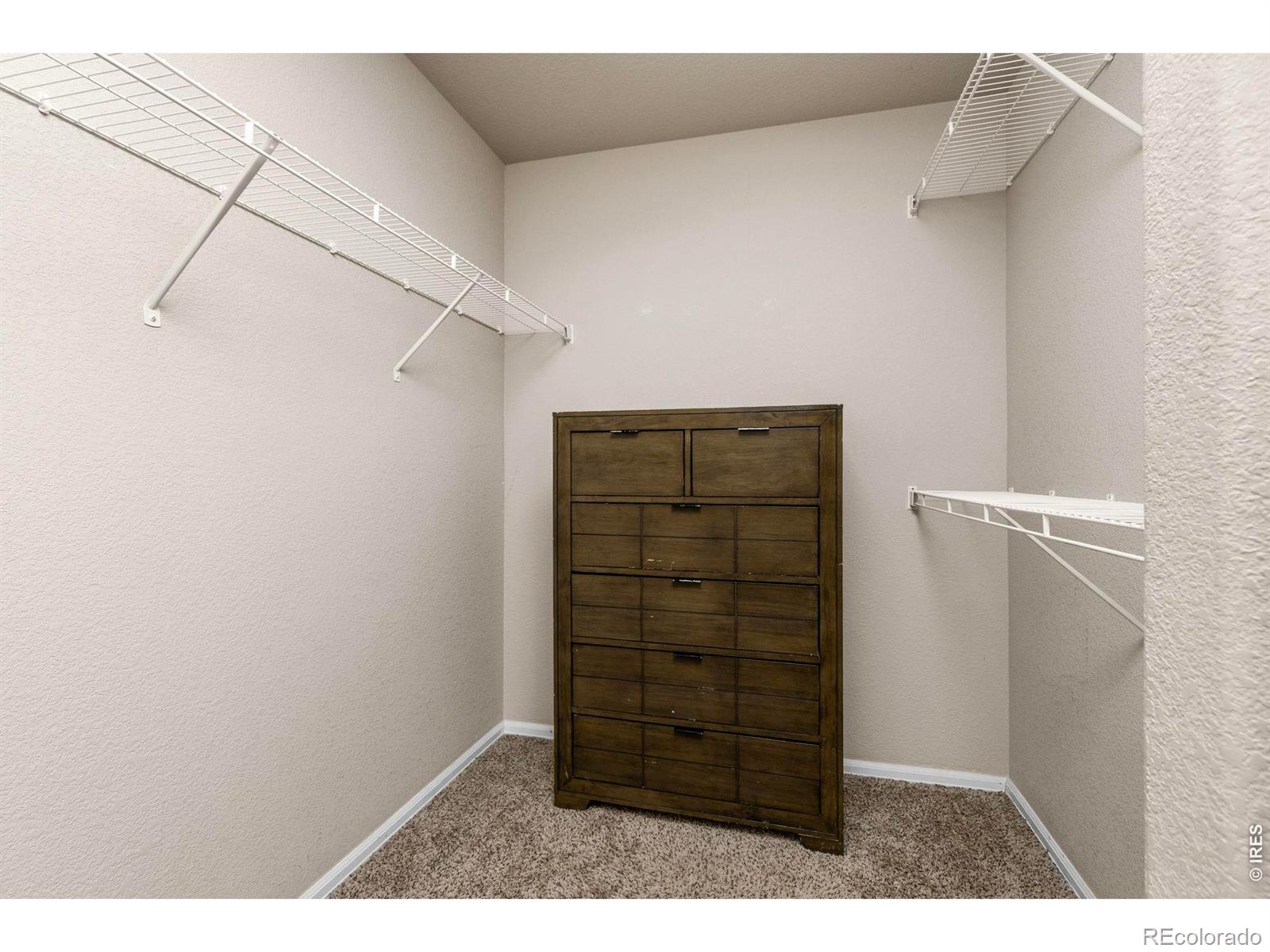 MLS Image #20 for 805  mt sneffels avenue,severance, Colorado