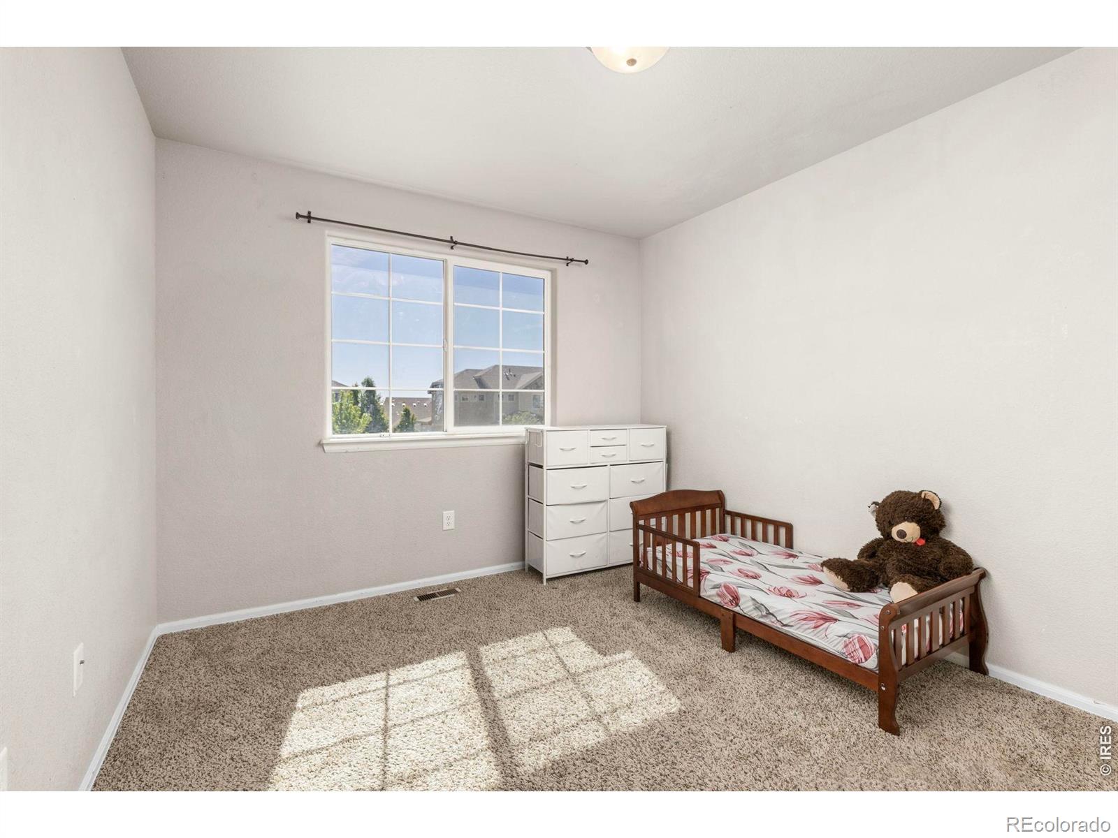 MLS Image #21 for 805  mt sneffels avenue,severance, Colorado
