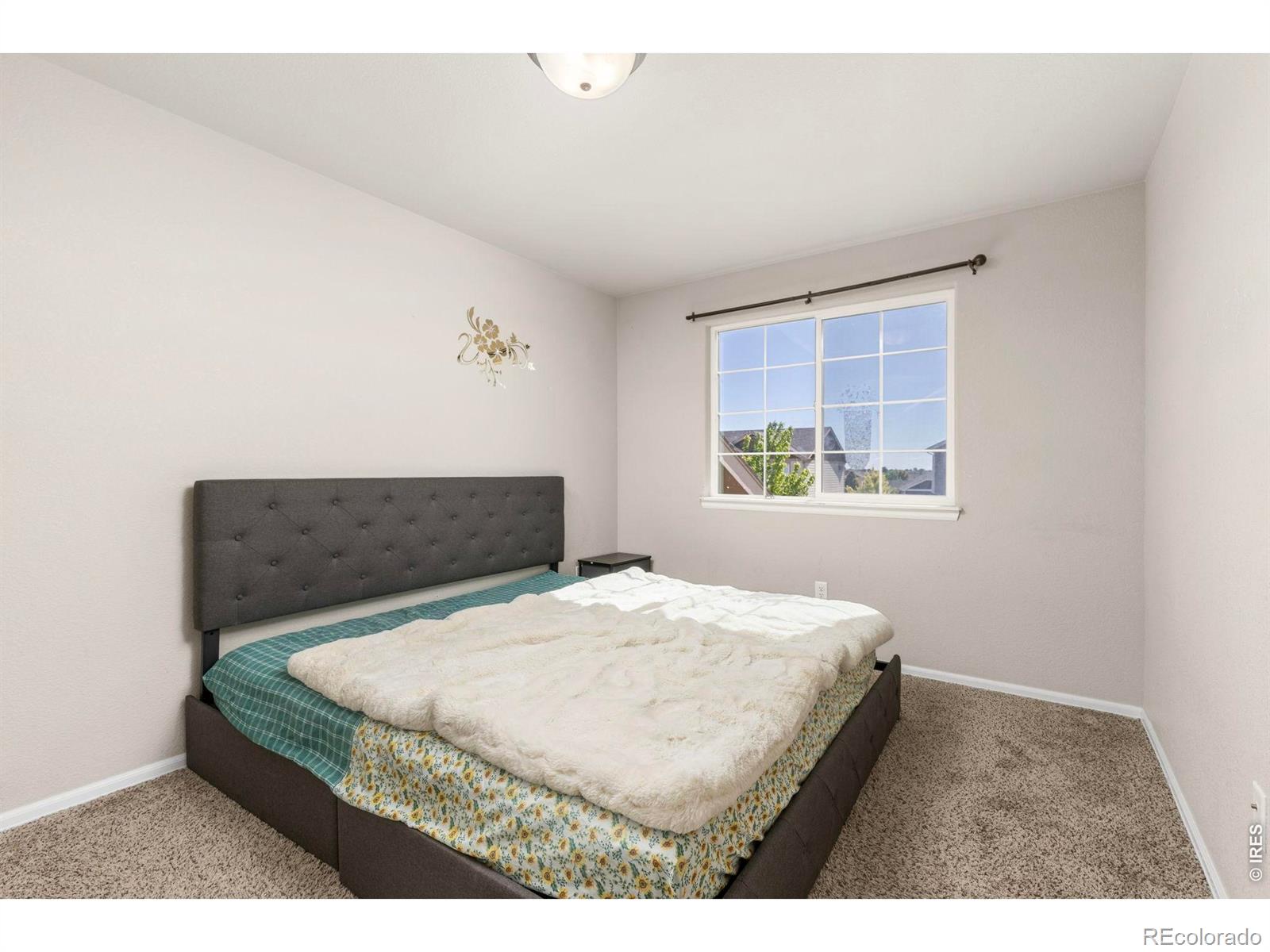 MLS Image #22 for 805  mt sneffels avenue,severance, Colorado