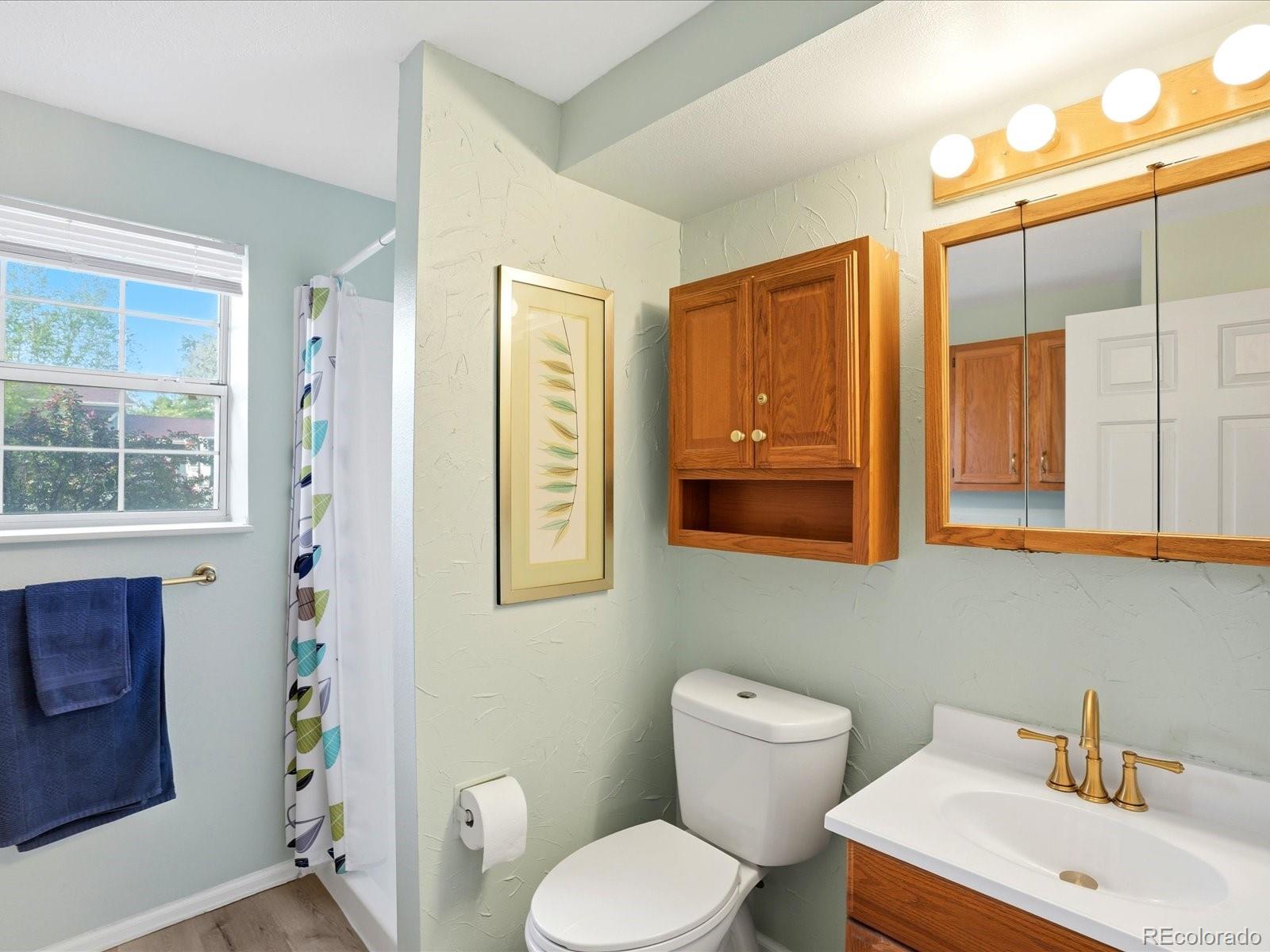 MLS Image #24 for 16474 e adriatic place,aurora, Colorado