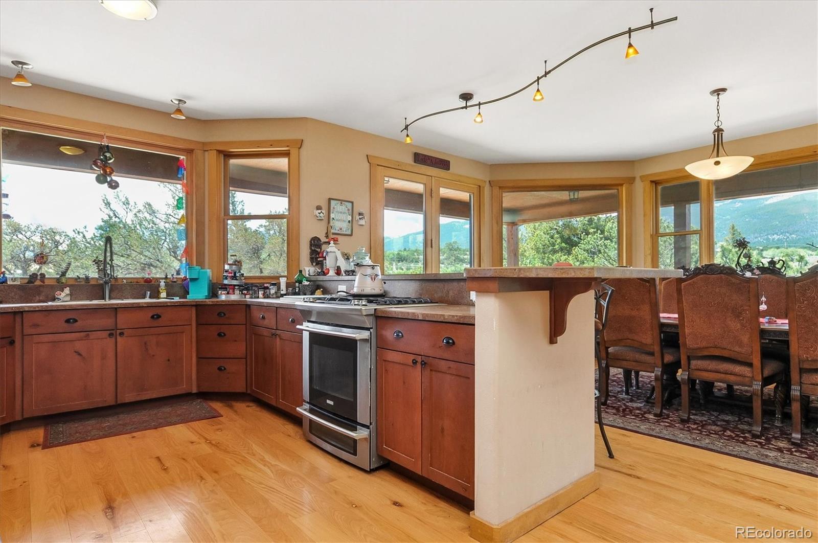 MLS Image #21 for 33804  vista verde ,buena vista, Colorado