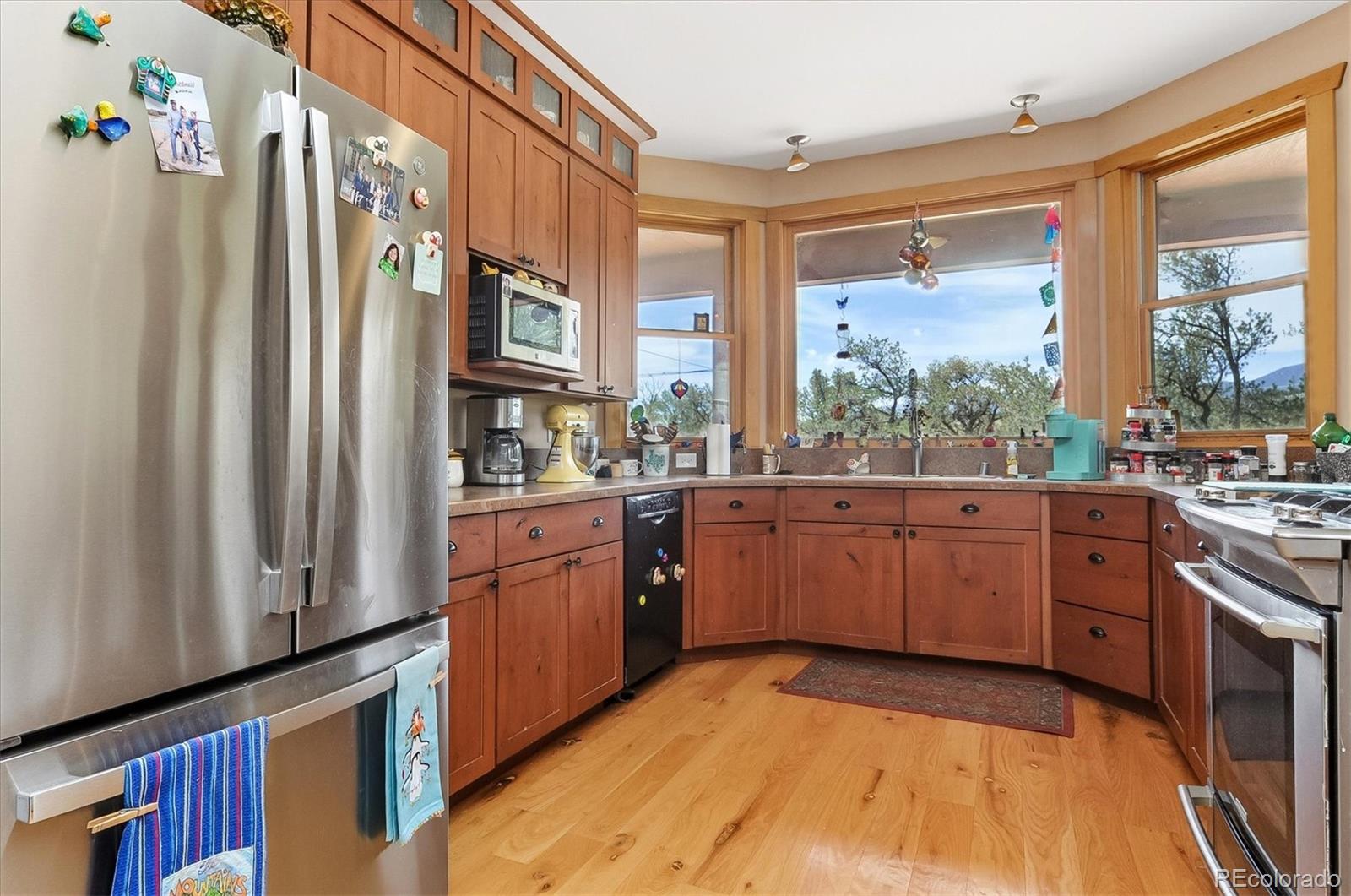 MLS Image #22 for 33804  vista verde ,buena vista, Colorado