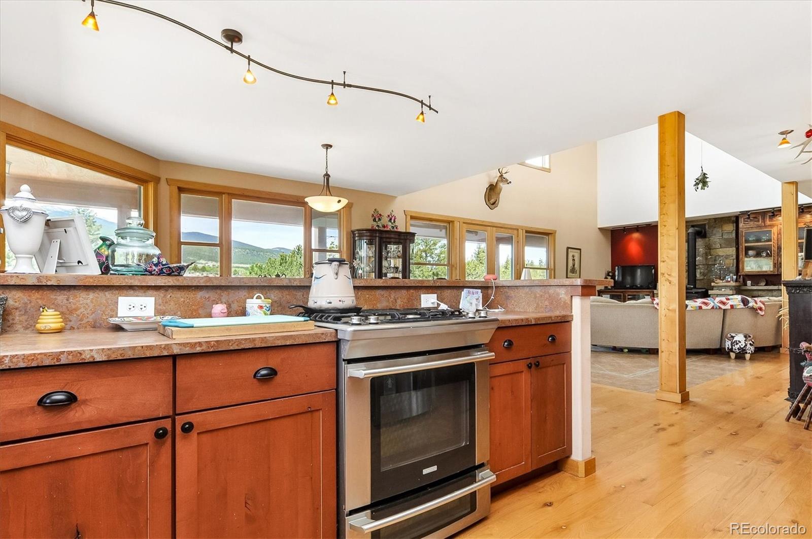 MLS Image #23 for 33804  vista verde ,buena vista, Colorado