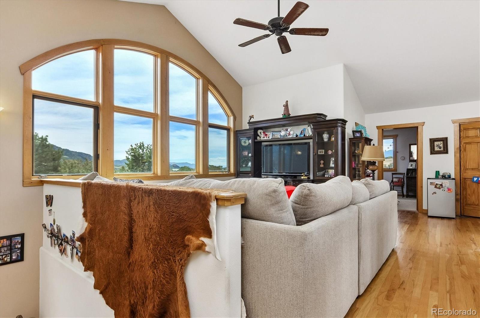MLS Image #35 for 33804  vista verde ,buena vista, Colorado