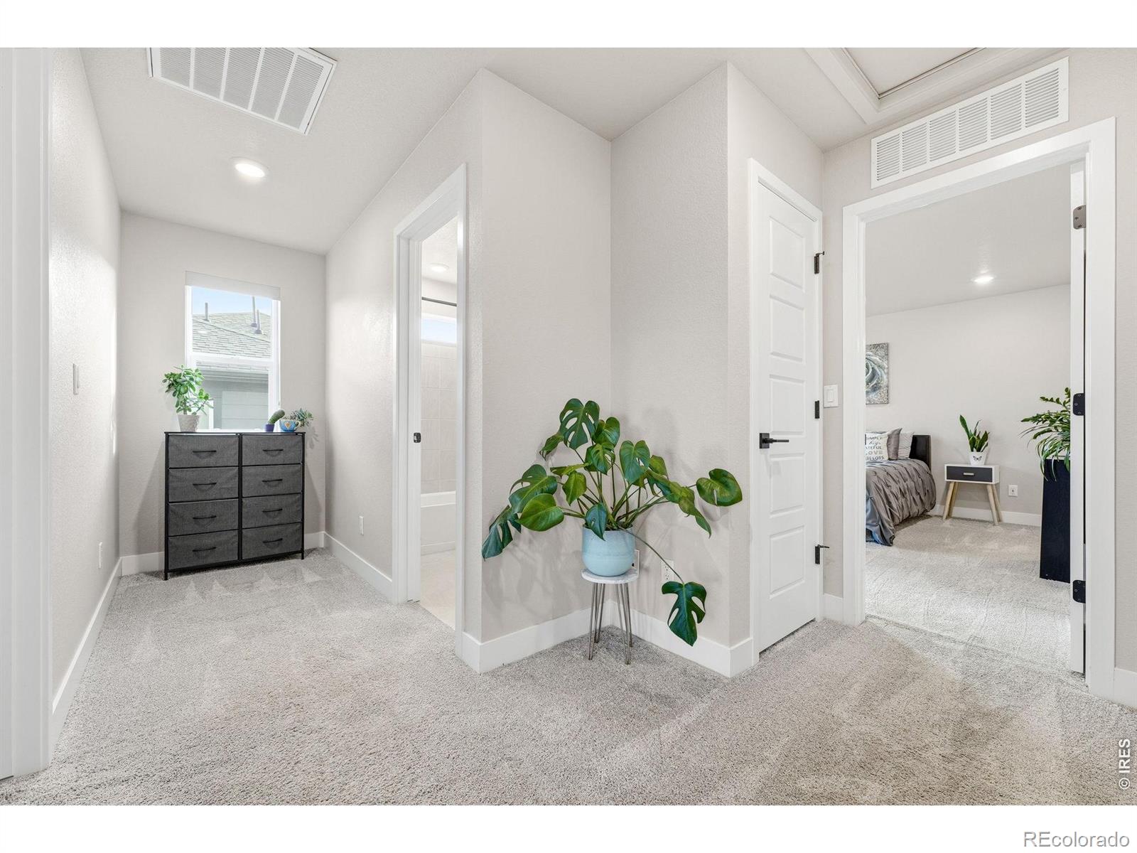 MLS Image #4 for 8453  gladiola court,arvada, Colorado