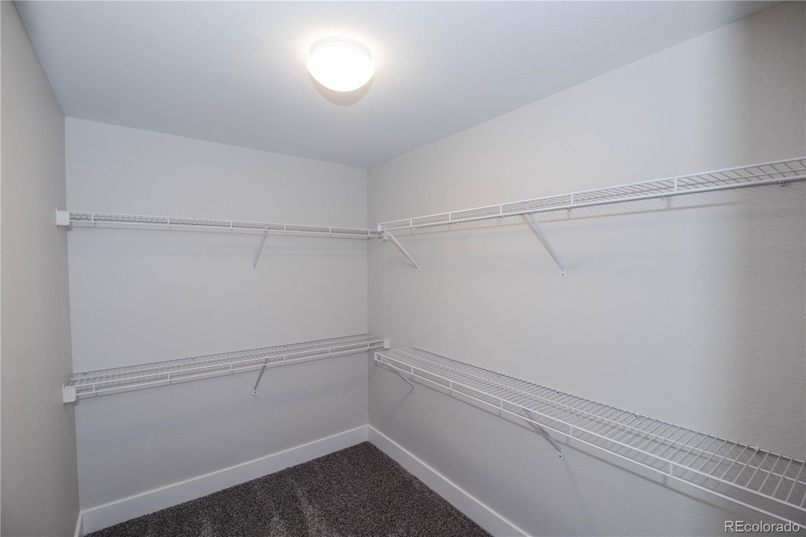MLS Image #23 for 3036  white oak lane,littleton, Colorado