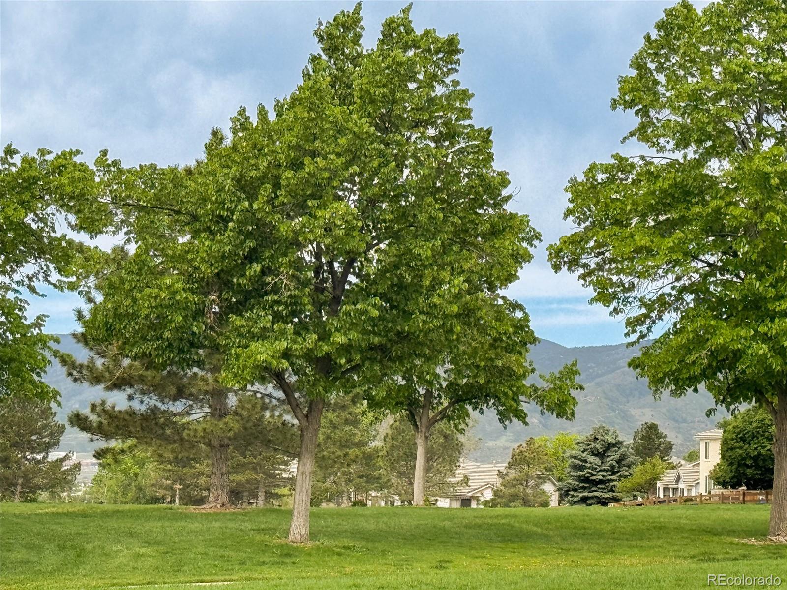 MLS Image #41 for 3036  white oak lane,littleton, Colorado