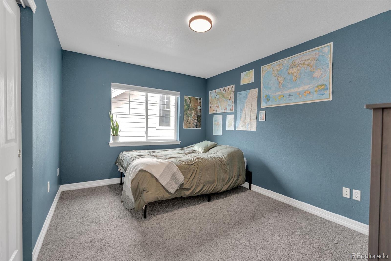 MLS Image #11 for 4213  timber hollow loop,castle rock, Colorado