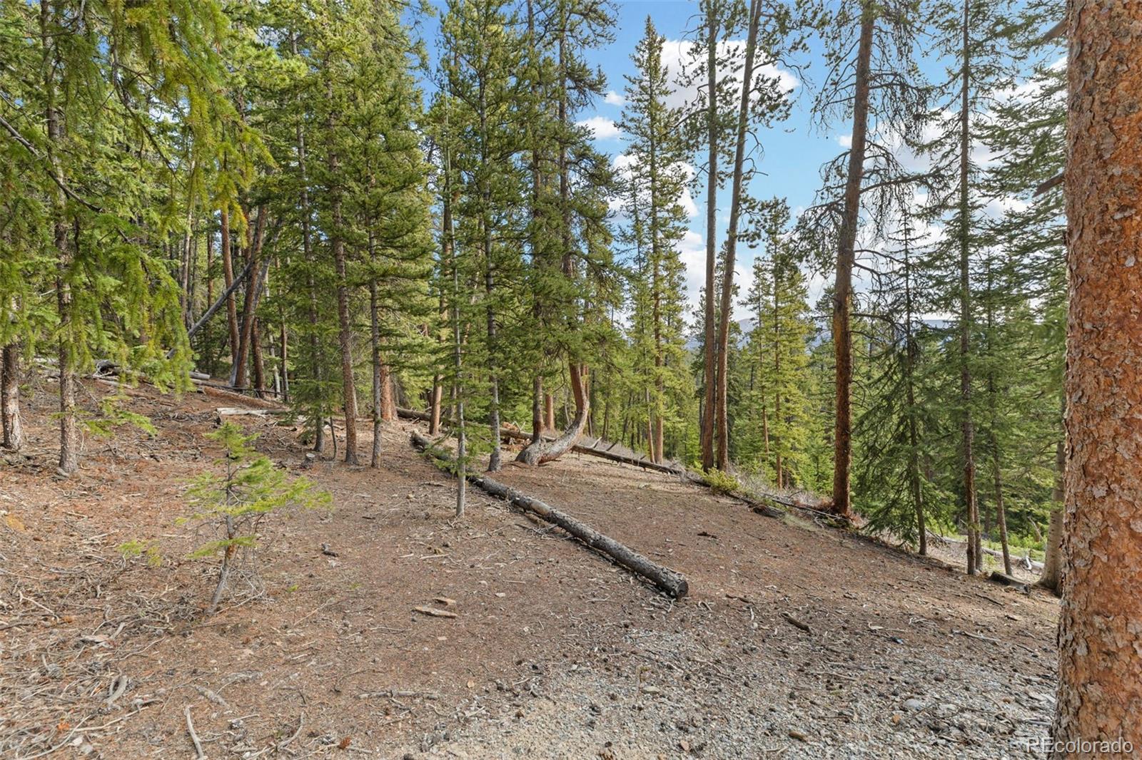 MLS Image #37 for 1933  valley of the sun drive,fairplay, Colorado