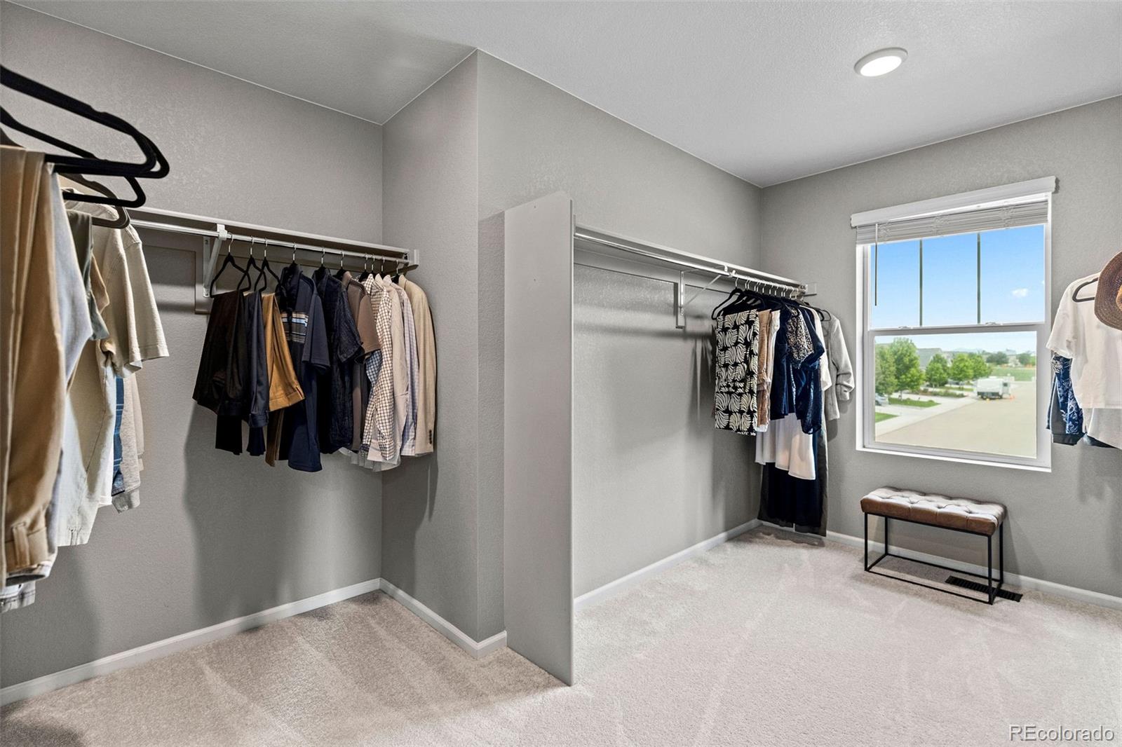 MLS Image #19 for 10359  chinook street,longmont, Colorado