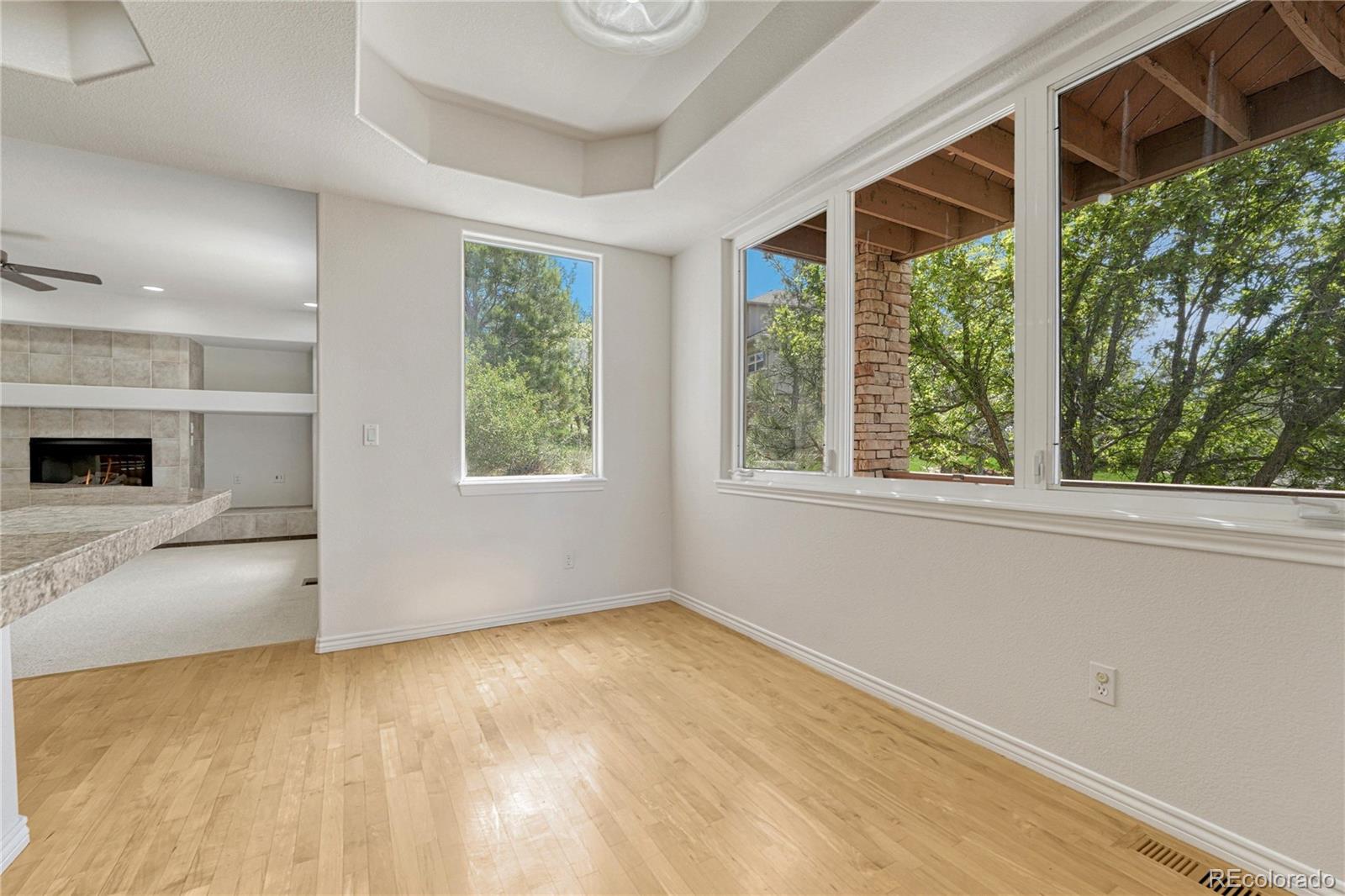 MLS Image #11 for 7458  gooseberry court,parker, Colorado