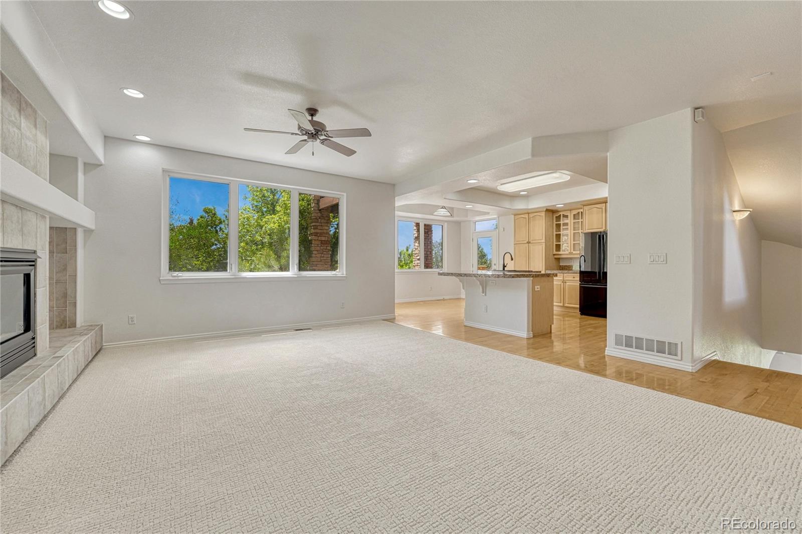 MLS Image #14 for 7458  gooseberry court,parker, Colorado