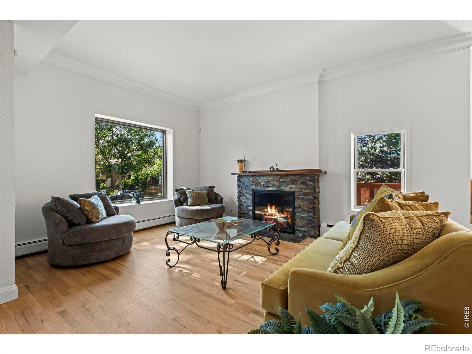 MLS Image #3 for 3239  vallejo street,denver, Colorado