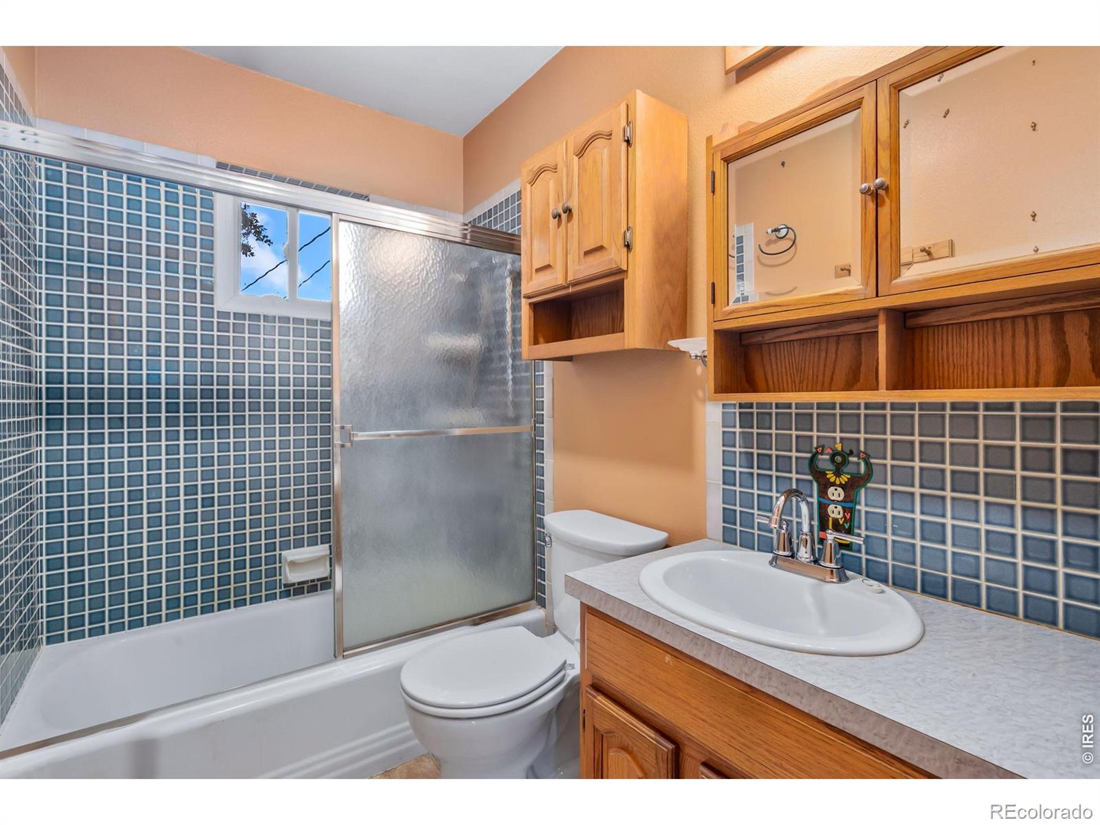 MLS Image #10 for 1038  aspen street,longmont, Colorado