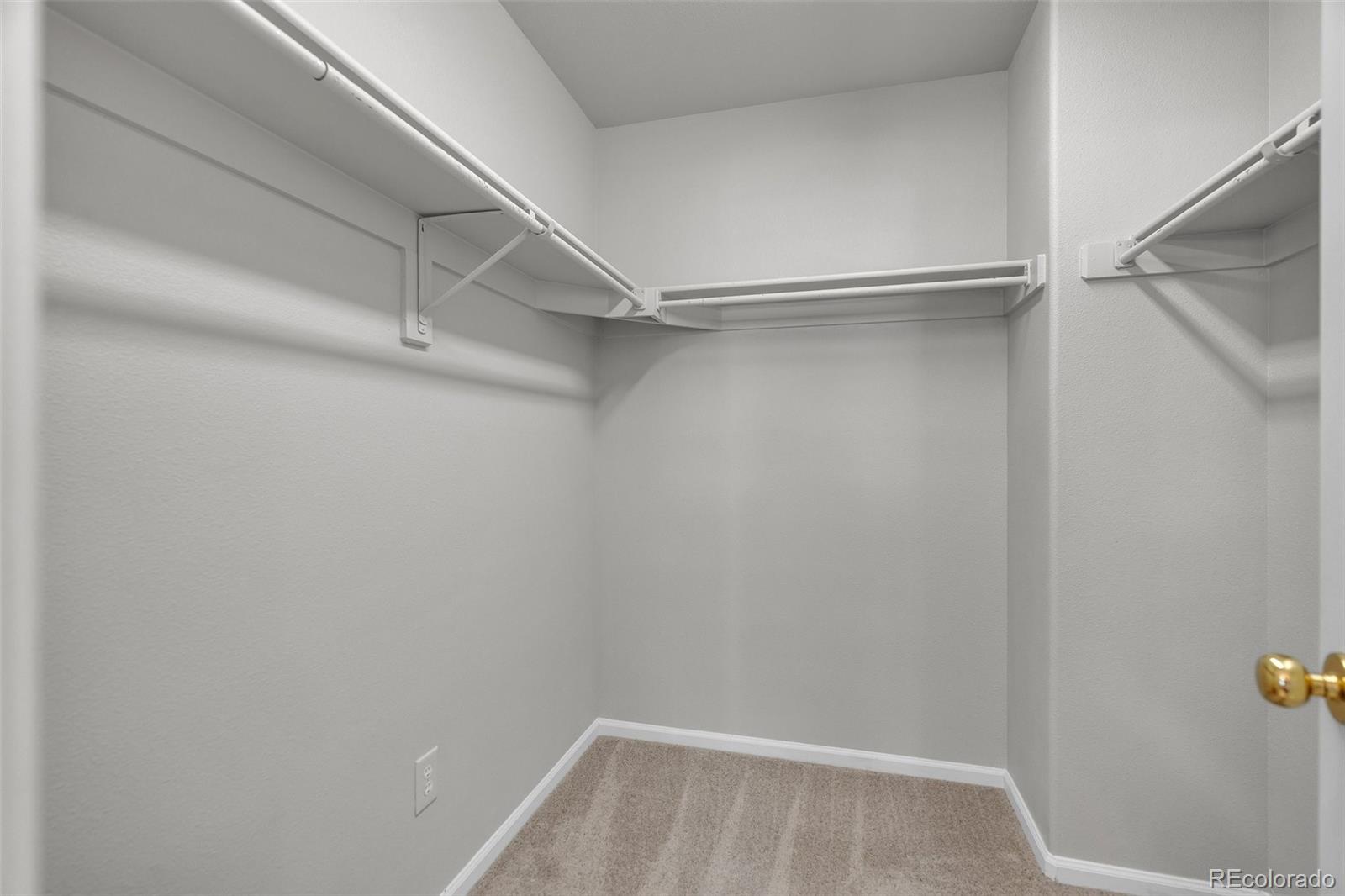 MLS Image #16 for 4584  brookwood drive,highlands ranch, Colorado