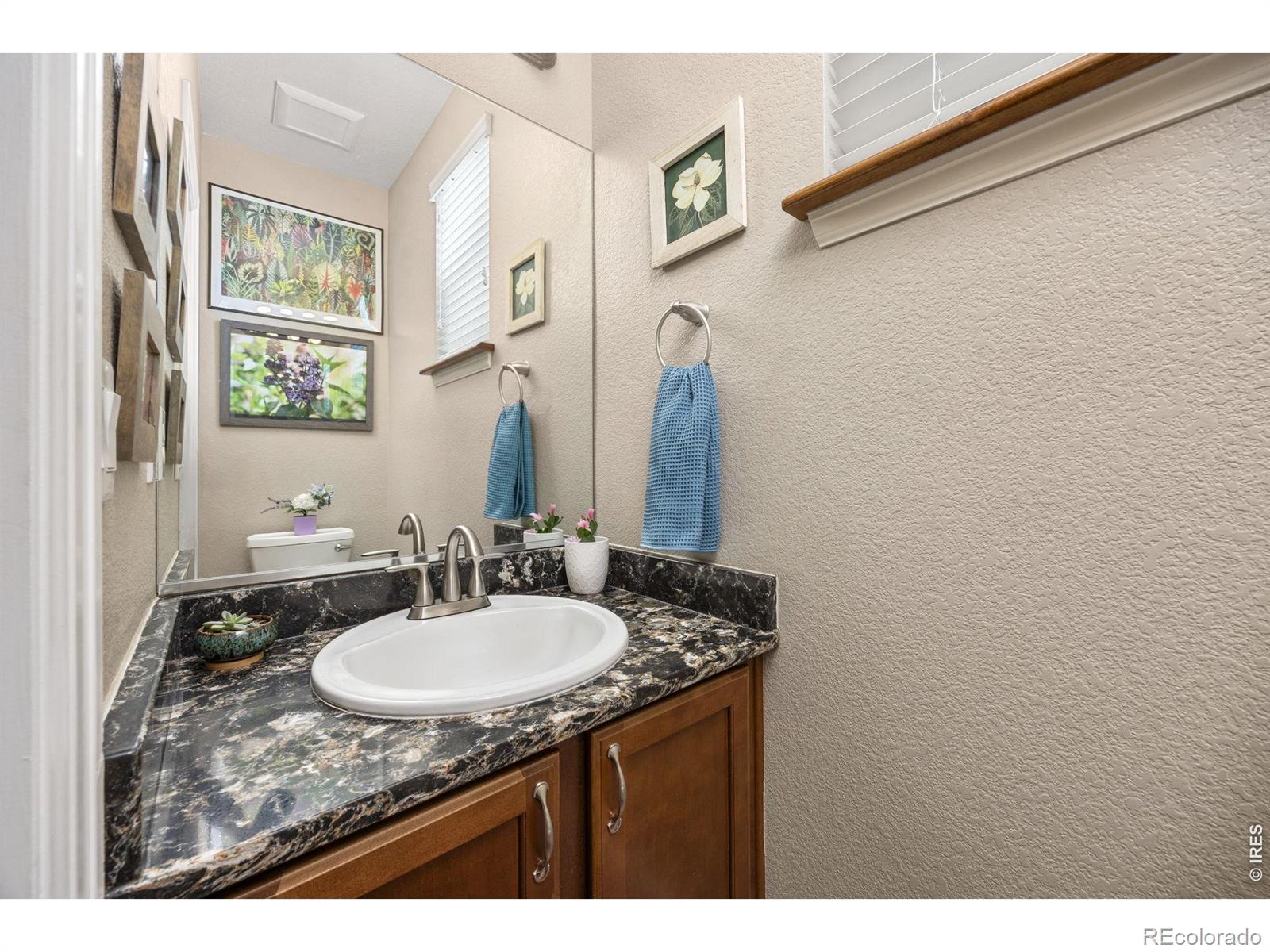 MLS Image #18 for 1979  cayman drive,windsor, Colorado