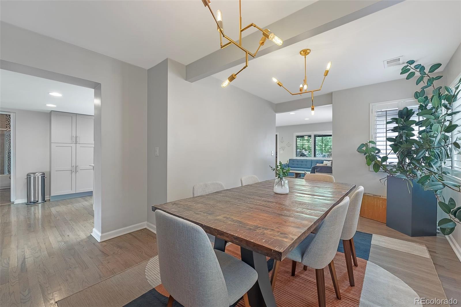 MLS Image #15 for 925  teller street,lakewood, Colorado
