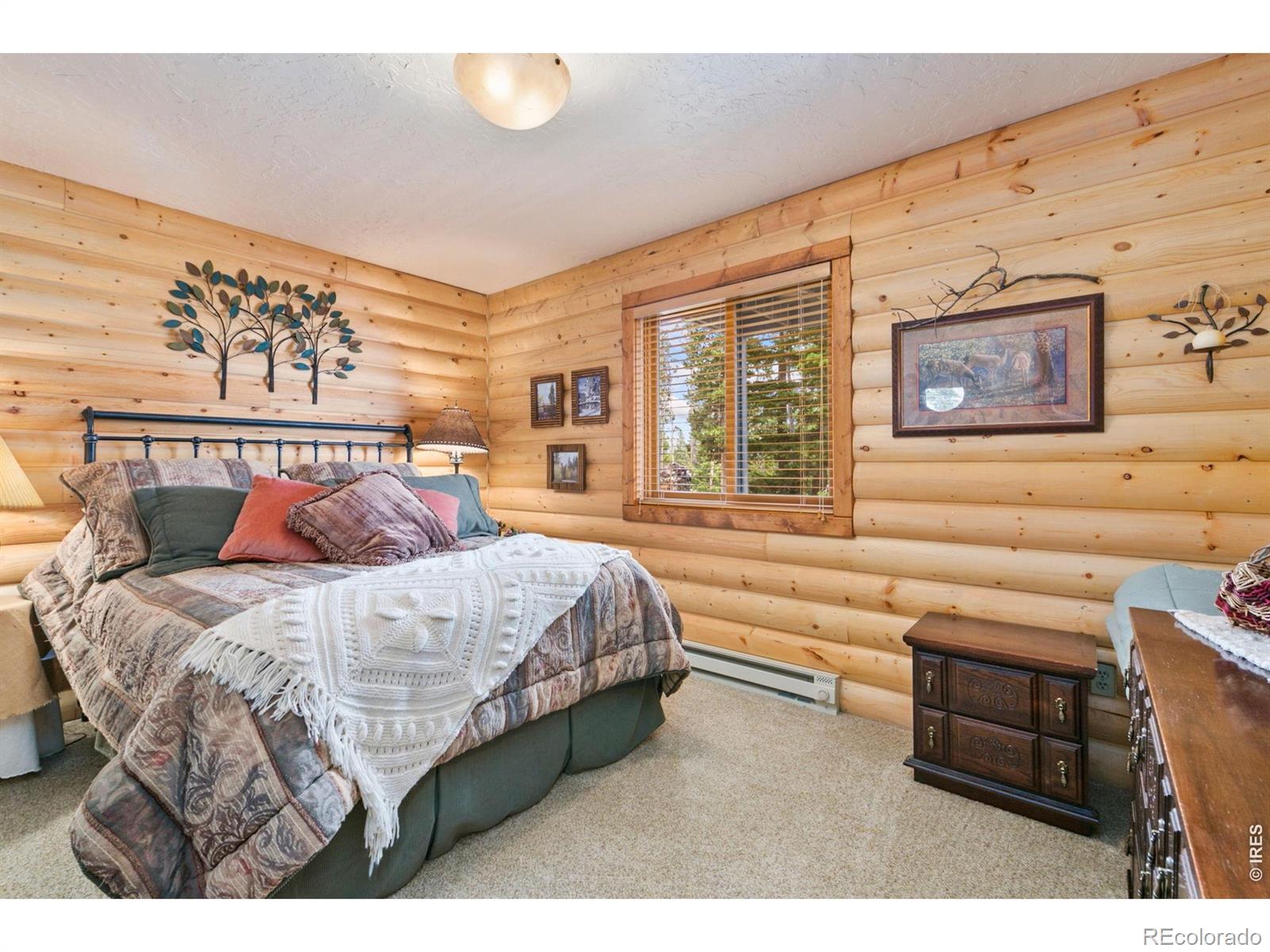 MLS Image #17 for 1255  jicarilla trail,red feather lakes, Colorado