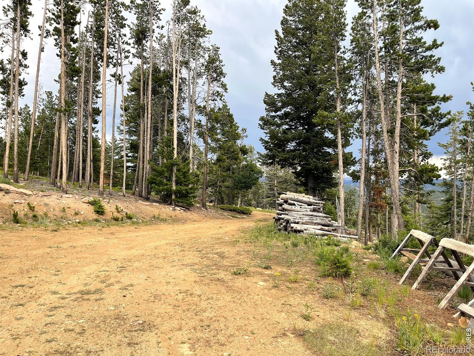 MLS Image #31 for 1255  jicarilla trail,red feather lakes, Colorado