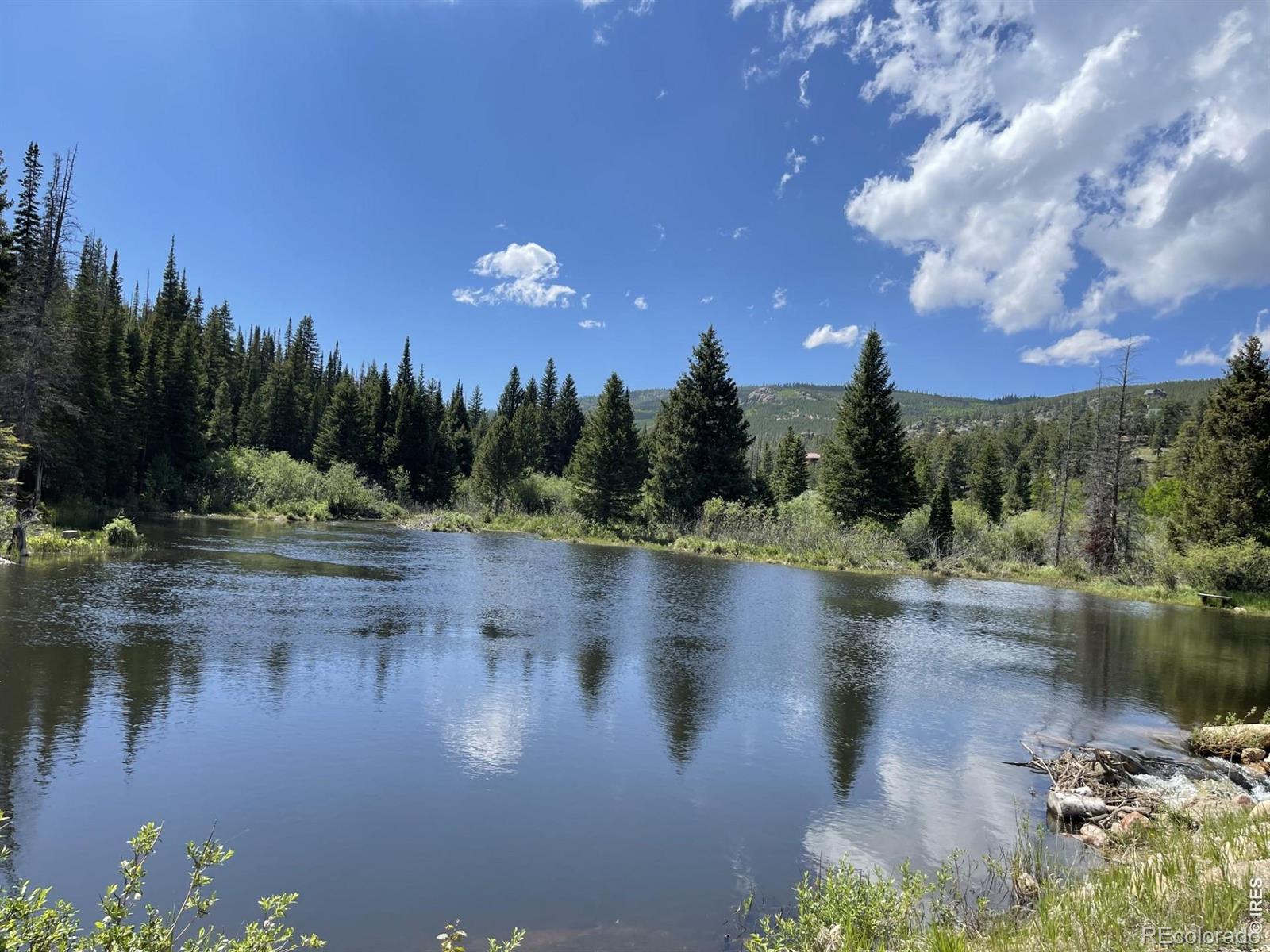 MLS Image #36 for 1255  jicarilla trail,red feather lakes, Colorado