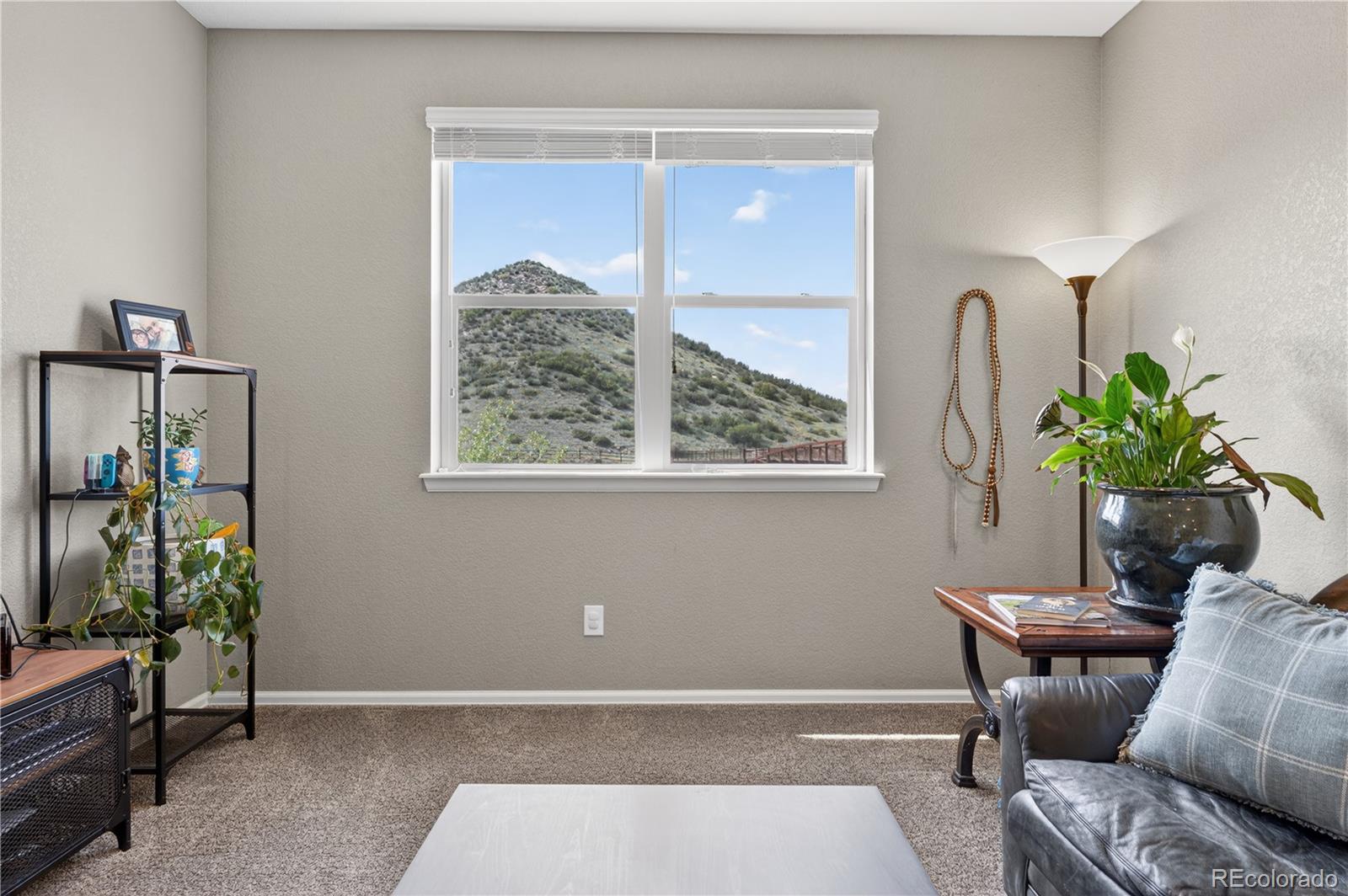 MLS Image #20 for 2305  purple finch court,castle rock, Colorado