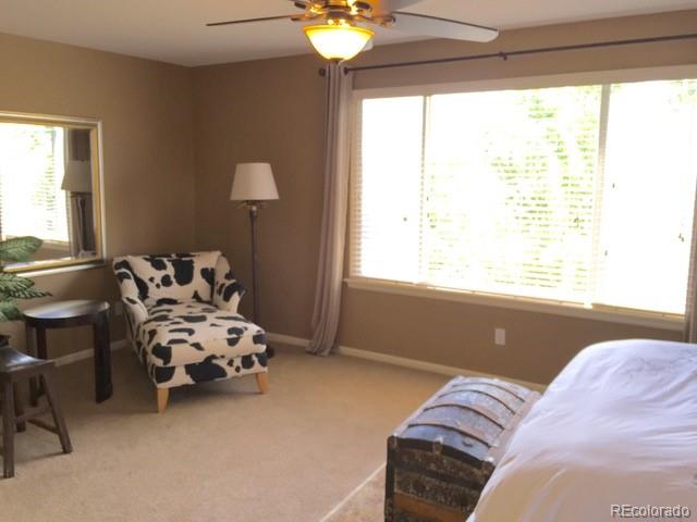 MLS Image #18 for 9177  anasazi indian trail,highlands ranch, Colorado