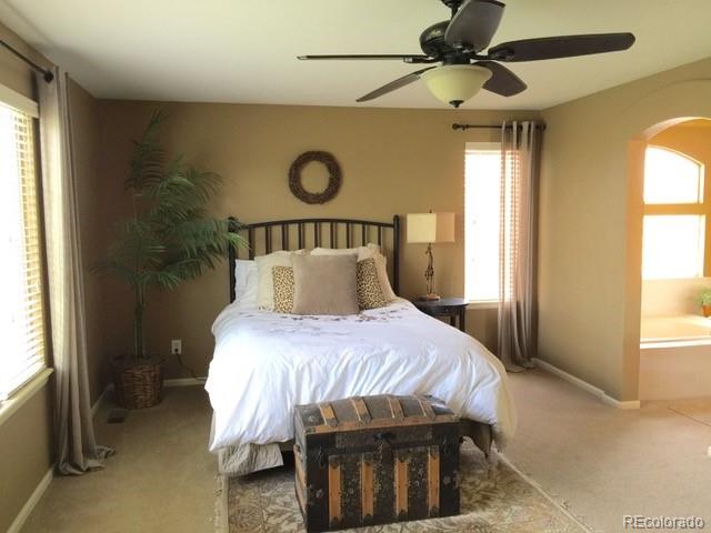 MLS Image #19 for 9177  anasazi indian trail,highlands ranch, Colorado