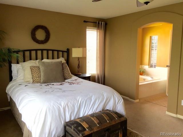 MLS Image #20 for 9177  anasazi indian trail,highlands ranch, Colorado