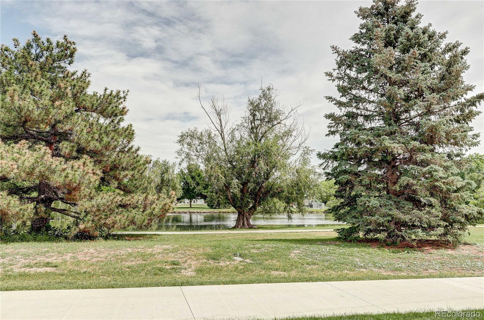 MLS Image #35 for    ,, Colorado