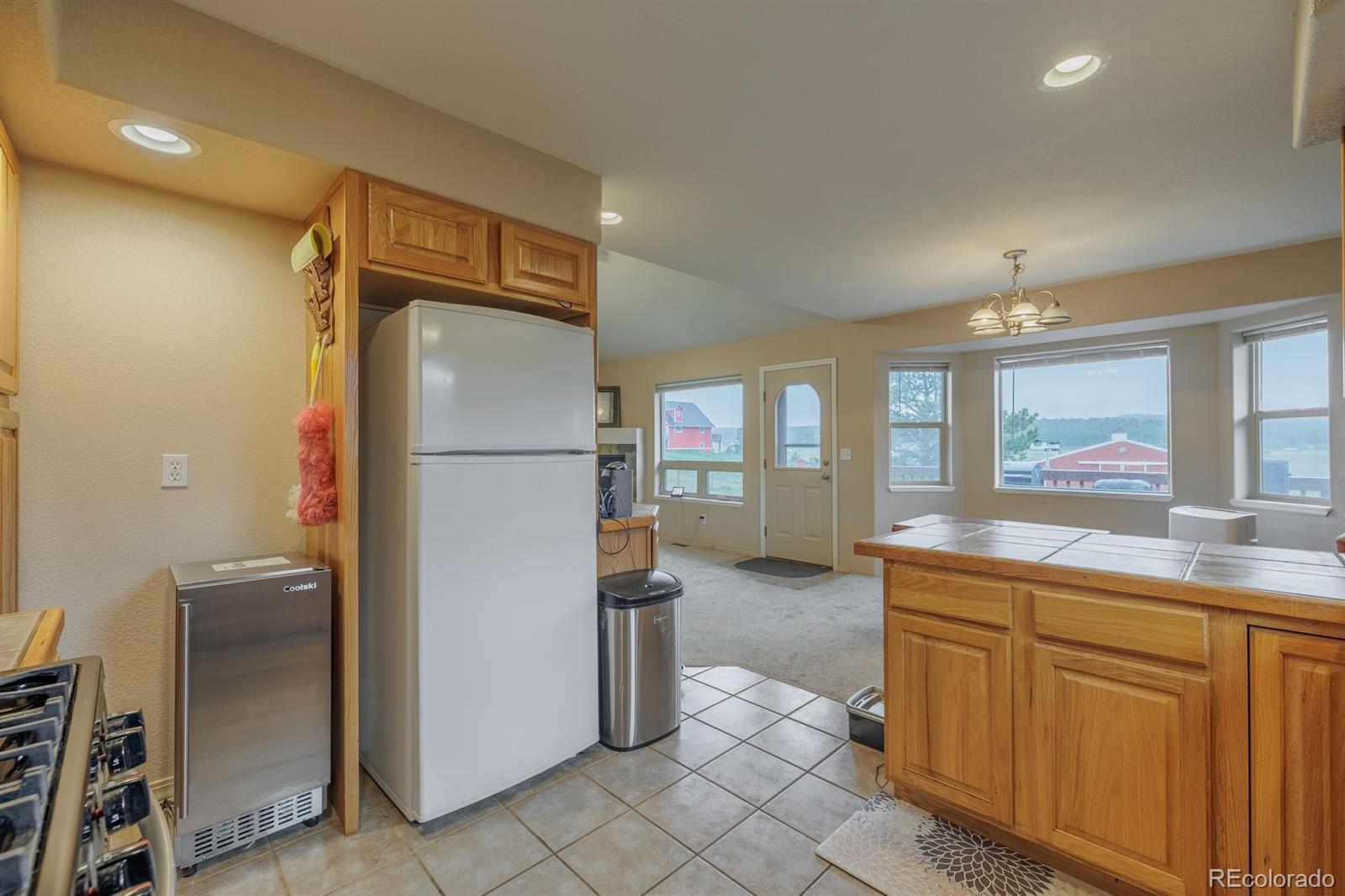 MLS Image #10 for 471  duesouth road,florissant, Colorado