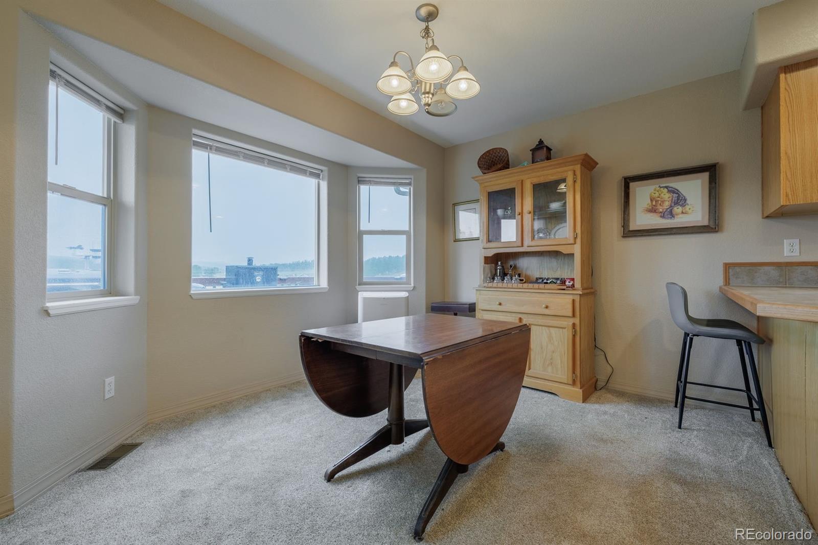 MLS Image #7 for 471  duesouth road,florissant, Colorado