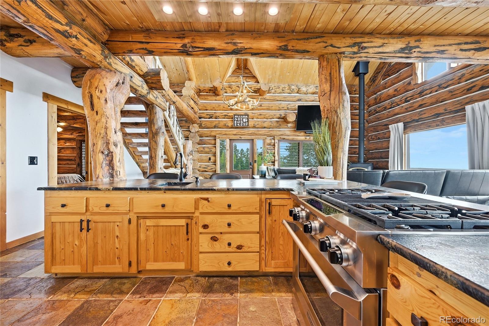 MLS Image #14 for 25504  mountain moss court,evergreen, Colorado