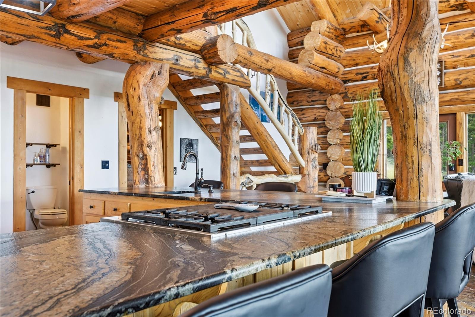 MLS Image #18 for 25504  mountain moss court,evergreen, Colorado