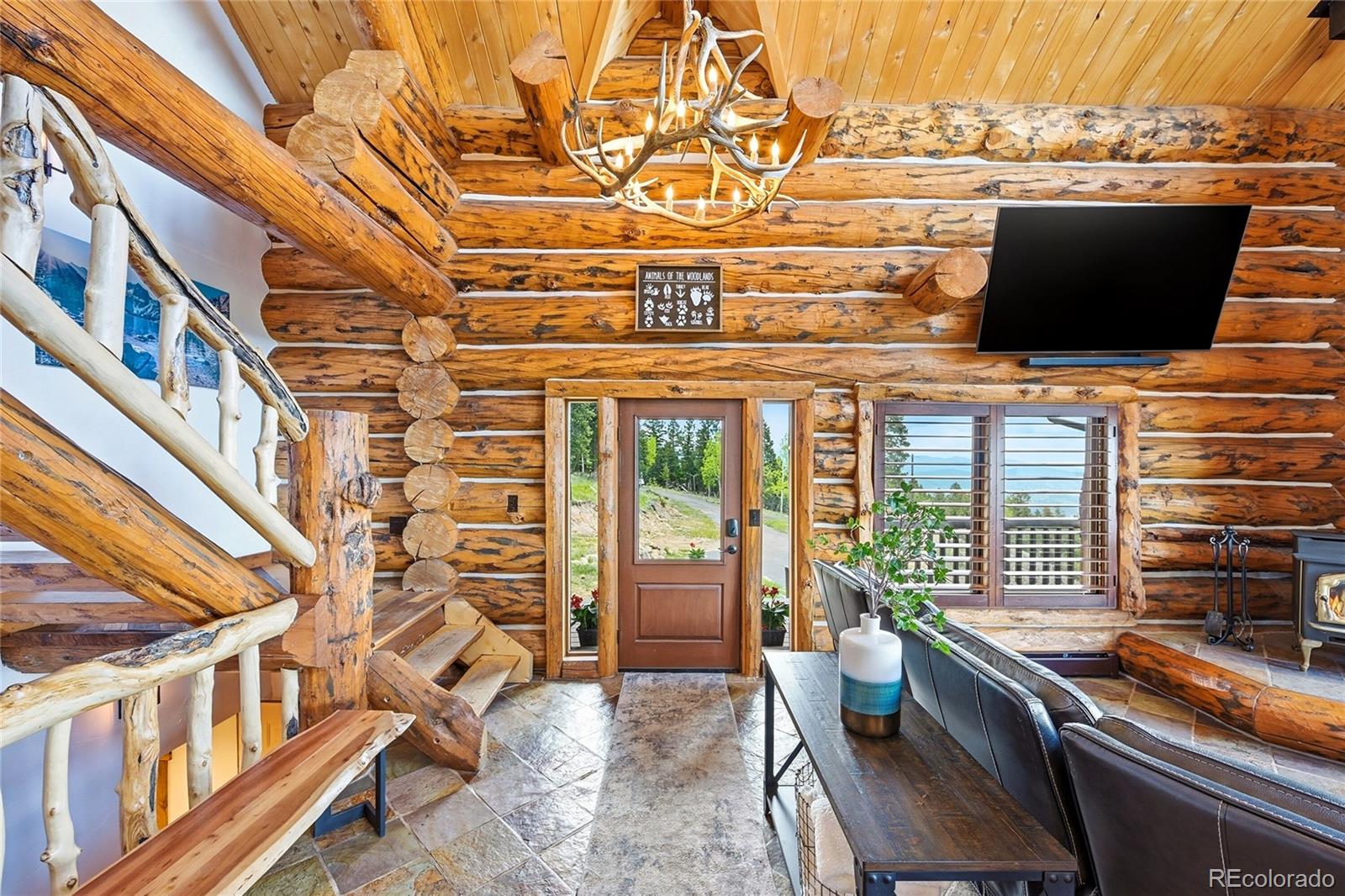 MLS Image #19 for 25504  mountain moss court,evergreen, Colorado