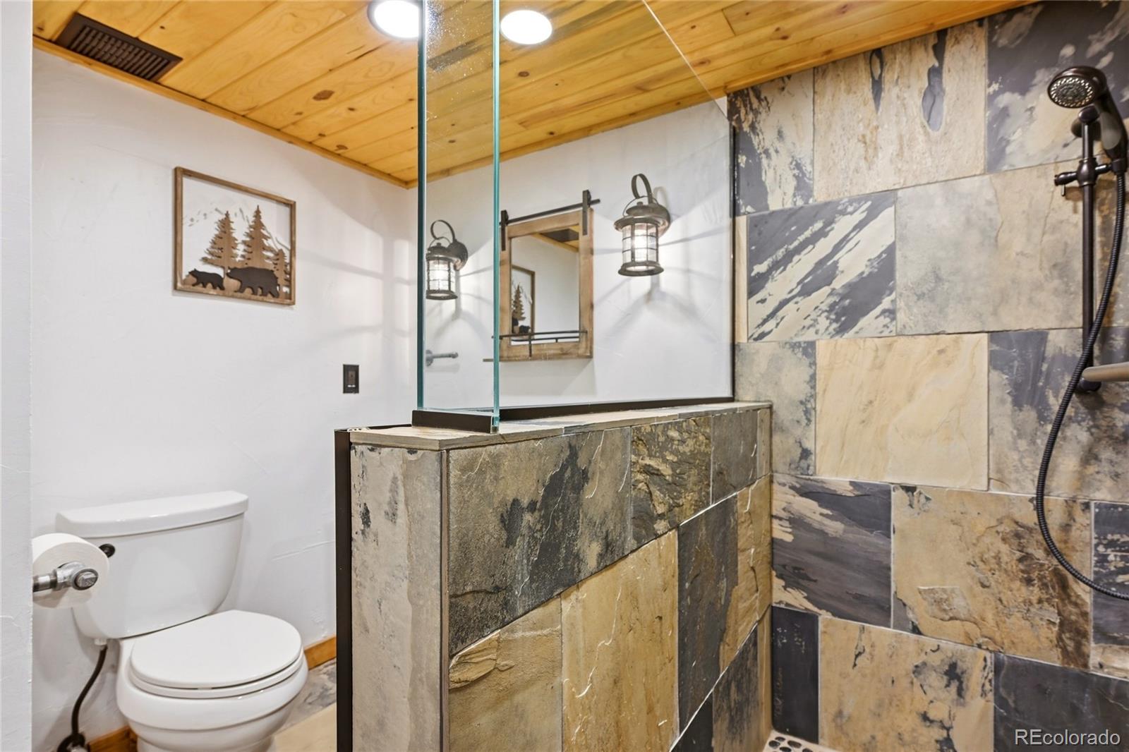 MLS Image #37 for 25504  mountain moss court,evergreen, Colorado