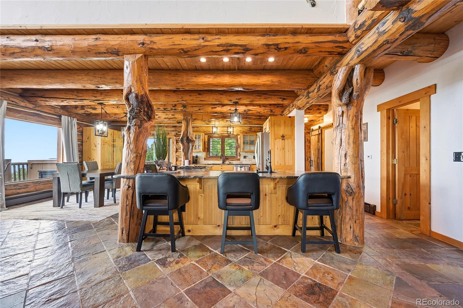 MLS Image #9 for 25504  mountain moss court,evergreen, Colorado