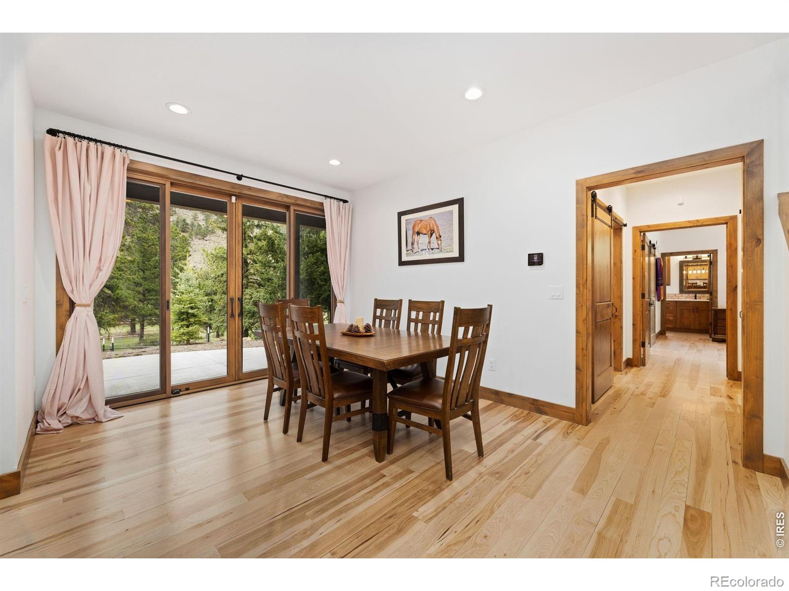 MLS Image #12 for 2742  ypsilon circle,estes park, Colorado