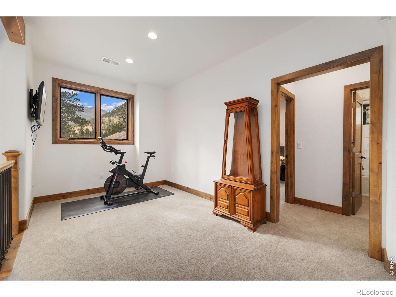 MLS Image #23 for 2742  ypsilon circle,estes park, Colorado