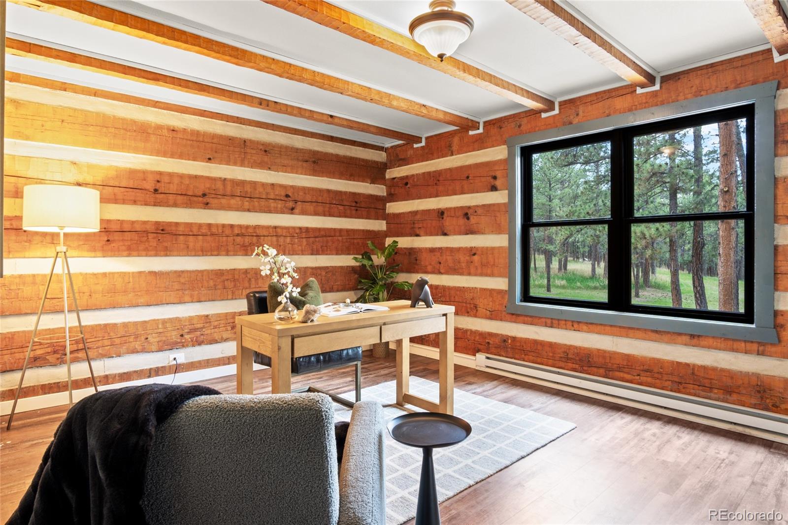 MLS Image #19 for 4719  beaver ridge,elbert, Colorado