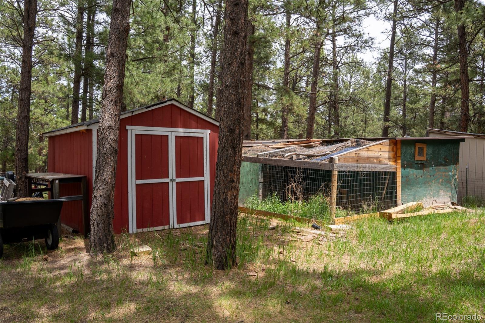 MLS Image #34 for 4719  beaver ridge,elbert, Colorado