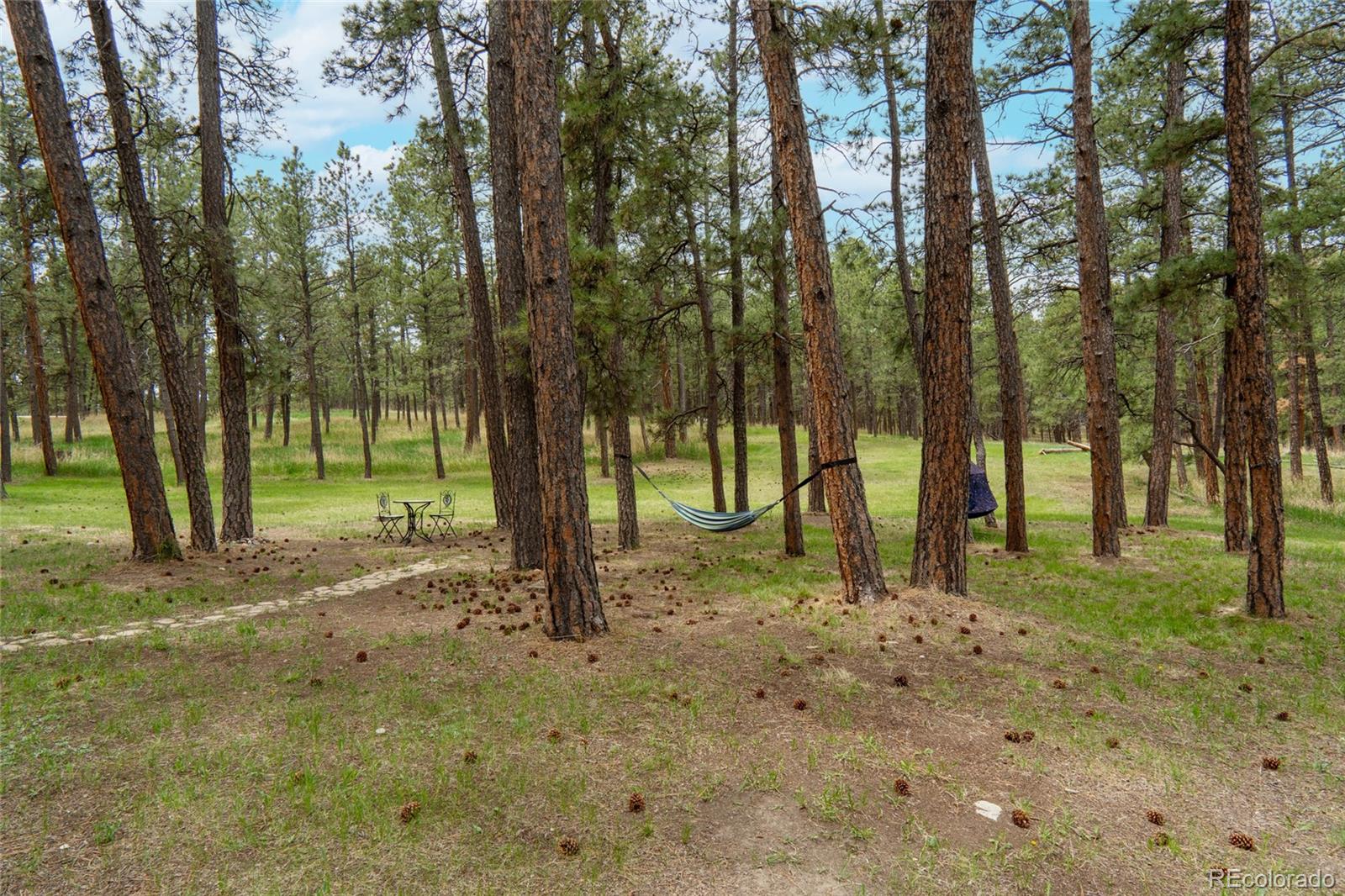 MLS Image #35 for 4719  beaver ridge,elbert, Colorado
