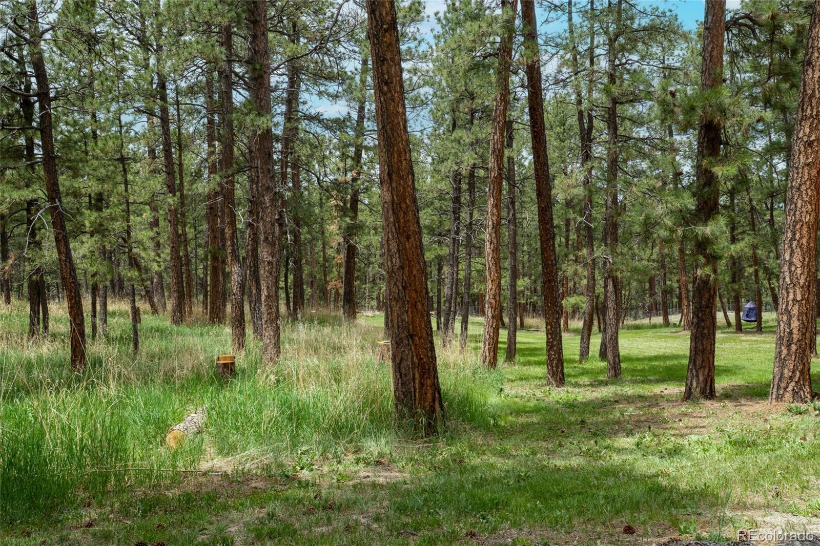 MLS Image #38 for 4719  beaver ridge,elbert, Colorado