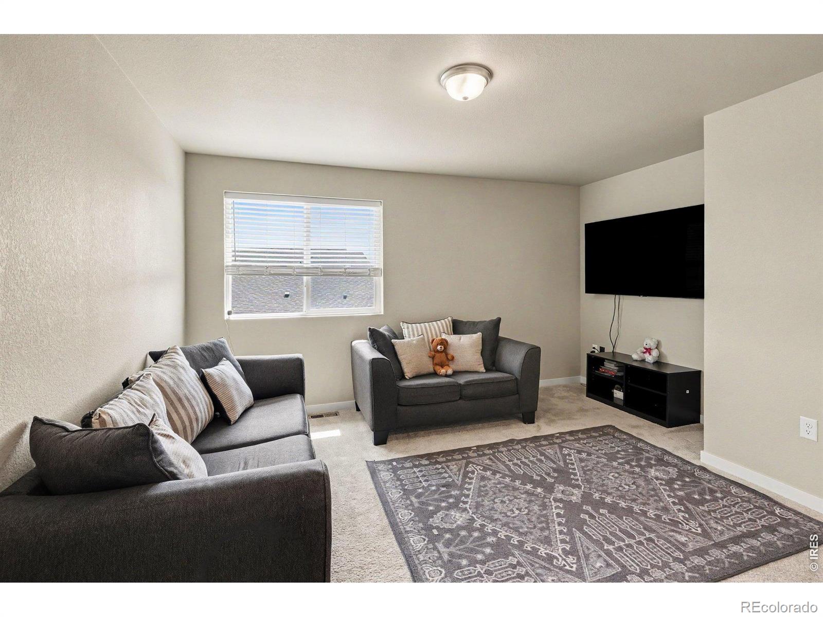 MLS Image #18 for 3774  beech tree street,wellington, Colorado