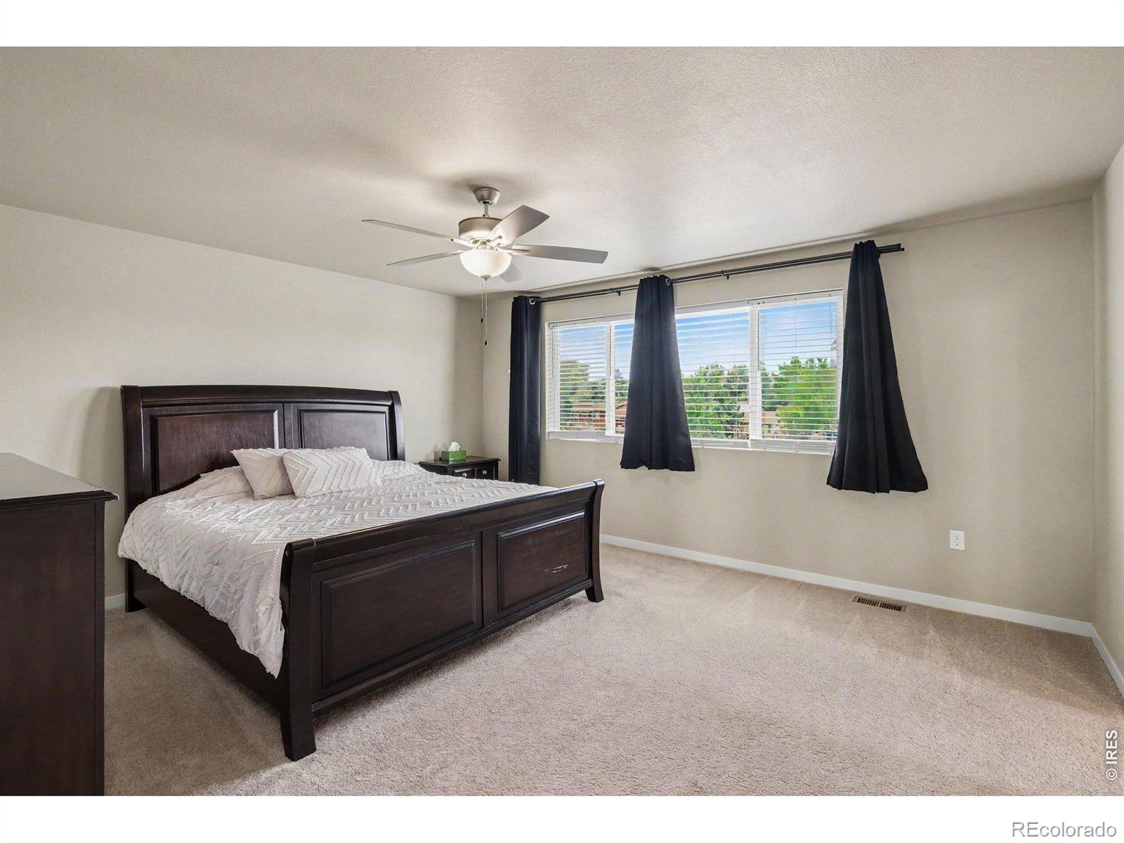 MLS Image #19 for 3774  beech tree street,wellington, Colorado
