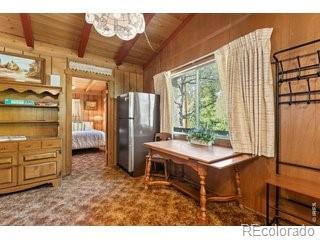 MLS Image #10 for 702  bryan avenue,nederland, Colorado