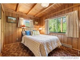MLS Image #12 for 702  bryan avenue,nederland, Colorado