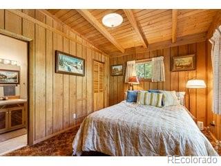 MLS Image #13 for 702  bryan avenue,nederland, Colorado
