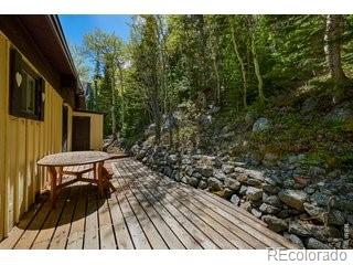MLS Image #16 for 702  bryan avenue,nederland, Colorado