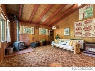MLS Image #5 for 702  bryan avenue,nederland, Colorado